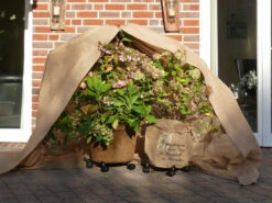 Vlies-Thermomantel, Uni Beige (Art.Nr. Vi36002) -Garten Gefuehl Wintervlies Thermomantel 5 1280x1280