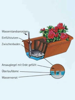 Blumenkasten Aqua Green -Garten Gefuehl aquaandalucia detail 77365 1 77388 1 1280x1280
