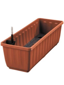 Zuckerblatt, Süßkraut, Süßblatt, Stevia Rebaudiana -Garten Gefuehl aquaflor tera 78960 4 1280x1280