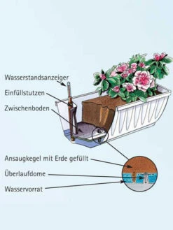 Blumenkasten Aqua Flor Plus -Garten Gefuehl aquaflorplus detail 77344 1 77361 1 1280x1280