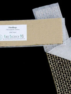 Florfliege (Art.Nr. KB4070) -Garten Gefuehl auslieferung florfliege 80530 2 1280x1280