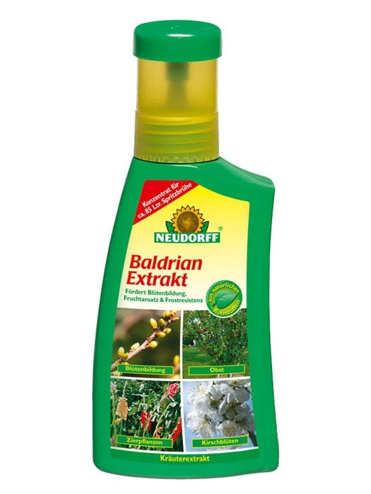 Baldrian Extrakt 1 Baldrian Extrakt