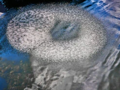 AquaOxy Belüfterring D 60 Cm Von OASE (Art.Nr. 88667) -Garten Gefuehl beluefterring 3 1280x1280