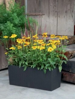 Blumenkasten Rato Case In Flechtoptik 6 Blumenkasten Rato Case In Flechtoptik -Garten Gefuehl blumenkasten rato square be 1280x1280