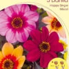 Happy Single-Dahlien-Mischung (Art.Nr. 5223060)