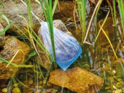 AquaActiv DuoBoost Von OASE -Garten Gefuehl duoboost6 1280x1280