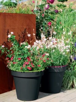 Pflanzkübel E&K Bicolor -Garten Gefuehl eundk bicolor rund57fc9f0e47970 1280x1280