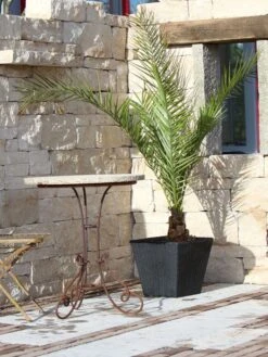 Pflanzkübel Geflecht-Dekor -Garten Gefuehl flechtkuebel eckig niedrig57ebb4ed38d1b 1280x1280