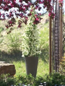 Pflanzkübel Geflecht-Dekor -Garten Gefuehl flechtkuebel rund hoch bepf 1280x1280