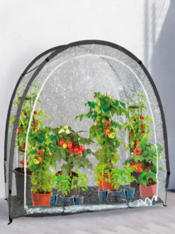 Foliengewächshaus "MARY`S" (Art.Nr. Vi26579)