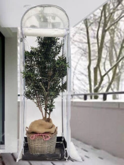 Frost-Schutzhaus SNOW (Art.Nr. V29933) -Garten Gefuehl frost schutzhaus winter 1280x1280