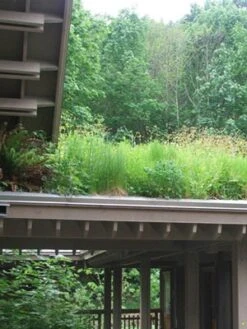 Gründach-Paket Für 15 Qm Dachfläche -Garten Gefuehl gruendachpaket carport 1280x1280