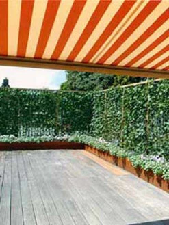 Hedera Helix 'Woerneri' - Immergrüner Efeu - XXL-Produkt -Garten Gefuehl hecke und balkon j1 78685 4 1280x1280