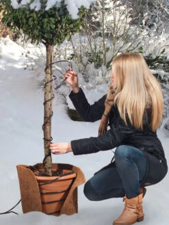 Frostschutz-Heizkabel Für Kübelpflanzen -Garten Gefuehl heizkabel frostschutz 1280x1280