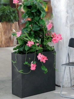 Pflanzkübel Raumteiler "Kubus"