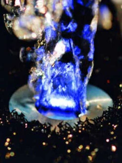 LunaLed 9s Von OASE (Art.Nr.50115) -Garten Gefuehl lunaled6s 2 75837 2 1280x1280