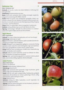 BdB-Handbuch ''Obstgehölze'' -Garten Gefuehl obstgehoelze 2 1280x1280
