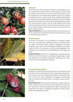 BdB-Handbuch ''Obstgehölze'' -Garten Gefuehl obstgehoelze 3 1280x1280