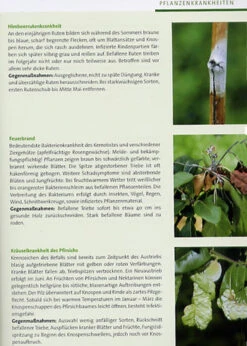 BdB-Handbuch ''Obstgehölze'' -Garten Gefuehl obstgehoelze 4 1280x1280