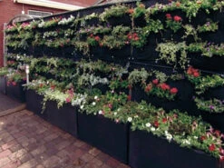 Overgrowing Mat Von Velda (Art.Nr.Vel127590) -Garten Gefuehl overgrowing mat beispiel 1280x1280