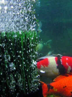 OxyTex 500 Set CWS Von OASE (Art.Nr. 57071) -Garten Gefuehl oxytex 3 1 75831 1 1280x1280