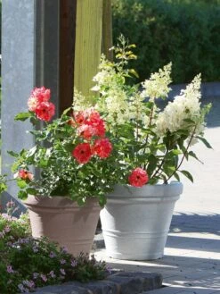 Pflanzkübel Milano -Garten Gefuehl pflanzkuebel milano stim 2 1280x1280