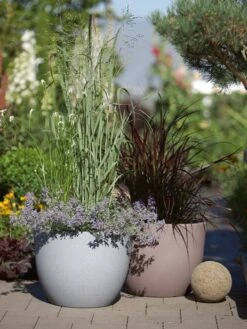 Pflanzkübel Rimini 7 Pflanzkübel Rimini -Garten Gefuehl pflanzkuebel rimini stimmun 1280x1280