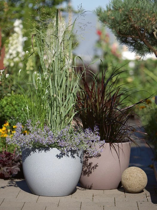 Pflanzkübel Rimini 3 Pflanzkübel Rimini – Bild 3