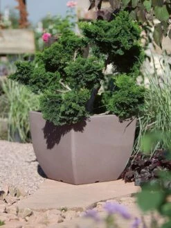 Pflanztopf Ravenna 5 Pflanztopf Ravenna -Garten Gefuehl pflanztopf ravenna stimmung 1280x1280