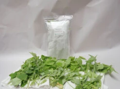 PhytoAmbly-Mix - Raubmilben-Mischung (Art.Nr. KB2038) -Garten Gefuehl phyto ambly mix 1280x1280