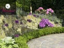 Rhododendron 'Bloombux®' -Garten Gefuehl rhododendron bloombux 1280x1280