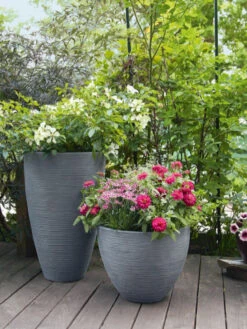 Pflanzkübel Rund Rillentopf -Garten Gefuehl rillentopf rund bepflanzt 1280x1280