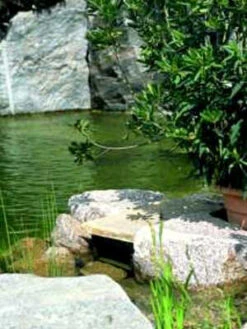 BIOsys Skimmer+ Von OASE (Art.Nr.57137) -Garten Gefuehl skimmer j15 1280x1280