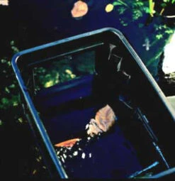 BIOsys Skimmer+ Von OASE (Art.Nr.57137) -Garten Gefuehl skimmer j18 1280x1280