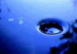 AquaSkim 40, Oberflächenabsauger Von OASE (Art.Nr.56907) -Garten Gefuehl skimmer j1 1280x1280