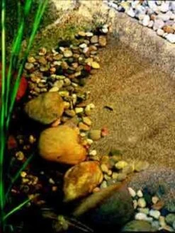 Steinfolie Sand Von OASE -Garten Gefuehl steinfolie j33 1280x1280