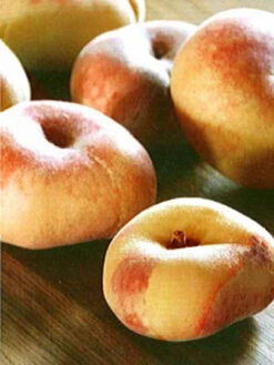 Tellerpfirsich, Plattpfirsich Paraguayo -Garten Gefuehl tellerpfirsich j1 1280x1280