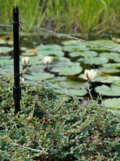 Ultra Protector Von Velda (Art.Nr.Vel128026) -Garten Gefuehl ultraprotector 2 1280x1280