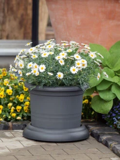 Untersetzer Mit Rollen -Garten Gefuehl untersetzer rollen stimmung 1280x1280