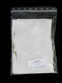 Phytoseiulus-Raubmilbe (Art.Nr. KB4480) -Garten Gefuehl zipbeutel versand raubmilbe 80537 2 1280x1280