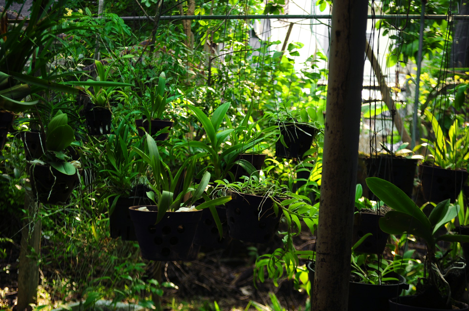 Garten Gefuehl -Garten Gefuehl lam thuy uexJRlnGNBg unsplash